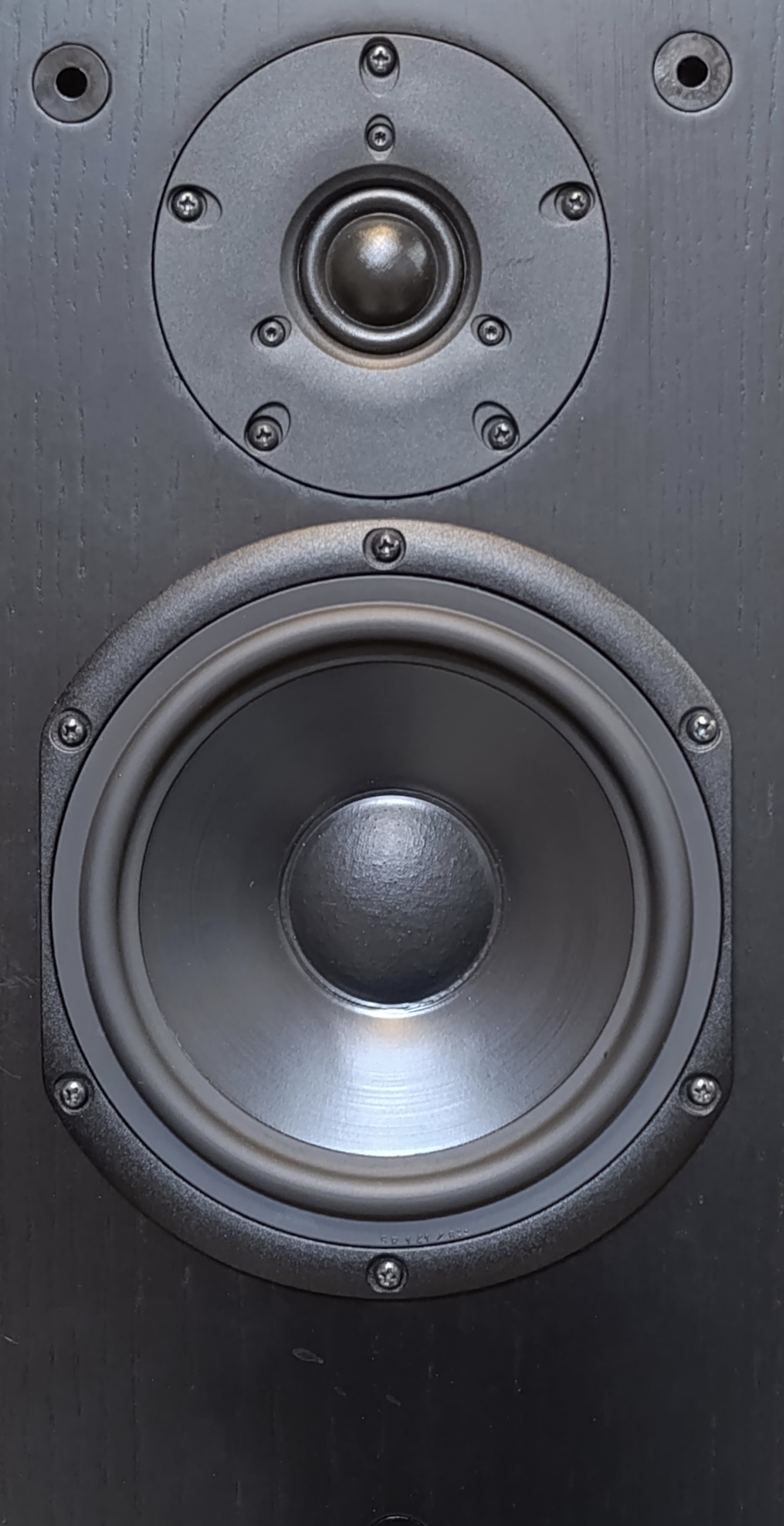 Acoustique Quality Labrador 3