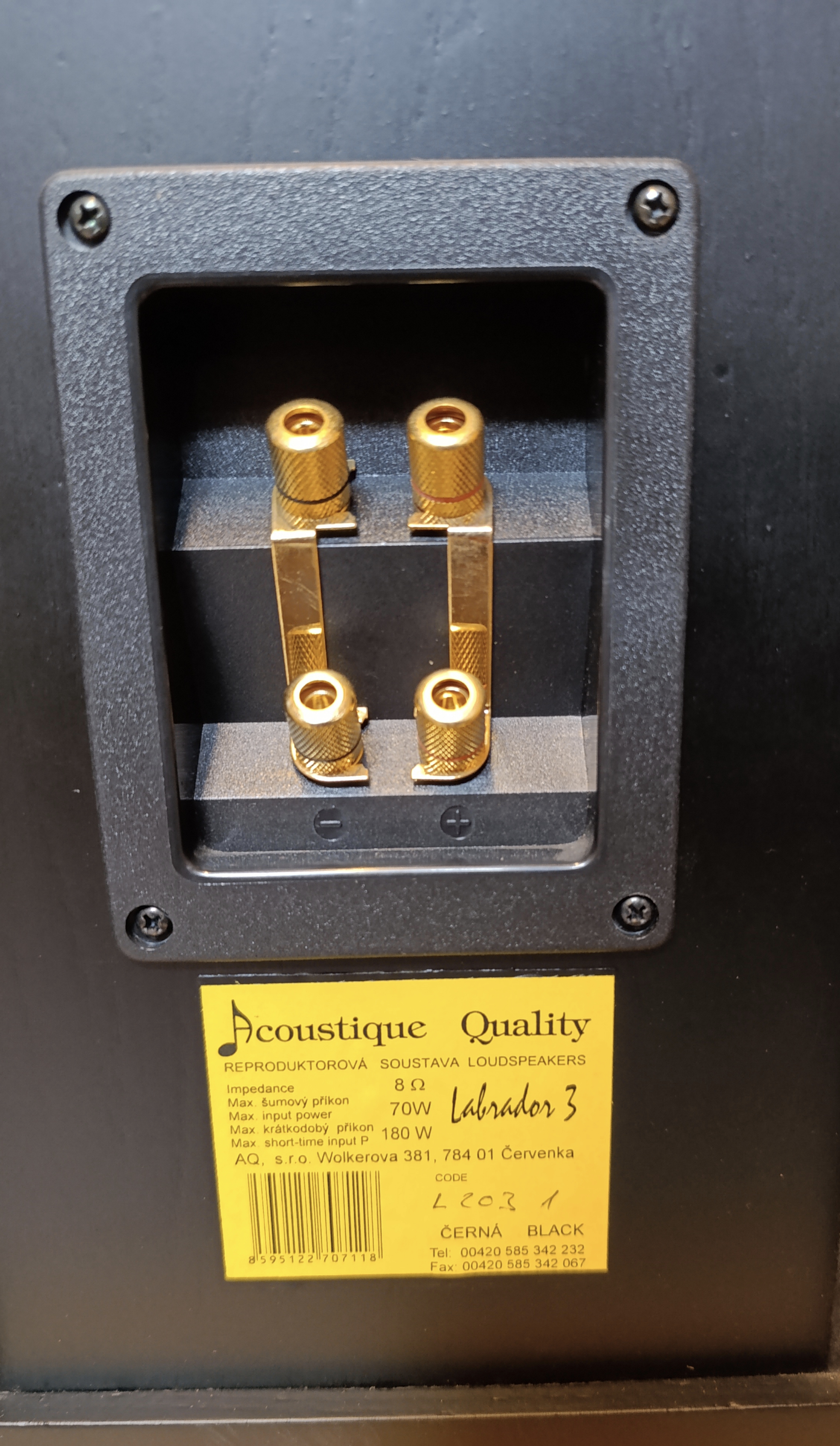 Acoustique Quality Labrador 3