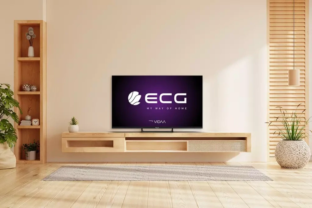 ECG 43" LED (43USV252)