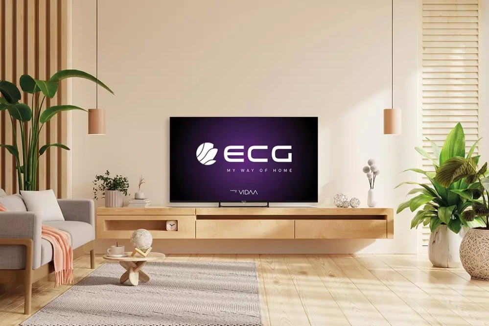 ECG 55" LED (55USV252)