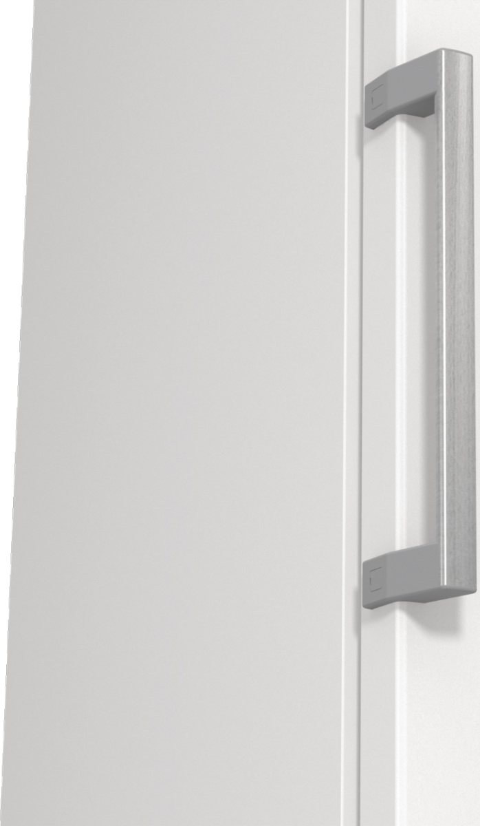 Gorenje Essential FN619EEW5