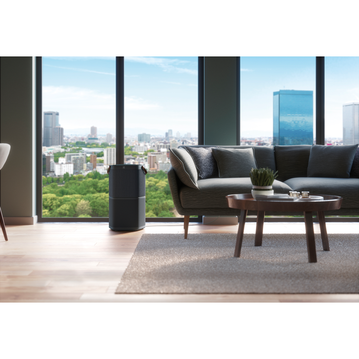 Electrolux PA91-404DG