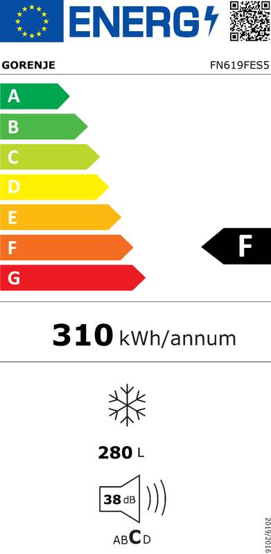 Gorenje FN619FES5