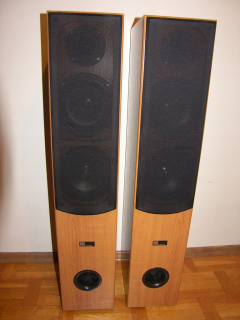 Pure Acoustics EX 650 F
